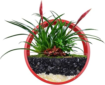 Amazon Com Ecosides Wall Mounted Planter Wall Hanging Planters Metal Plant Terrarium For Indoor Planter Air Plant Holders Decorative Morden Circle Iron Vase For Succulent Indoor Wall Decor Small 6 H Red Garden