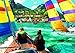 Ravensburger Homeward Bound 1000 Piece Jigsaw Puzzle for Adults – Every Piece is Unique, Softclick Technology Means Pieces Fit Together Perfectly