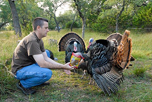 HAPPY HEN TREATS MEALWORM FRENZY, 3.5-OUNCE