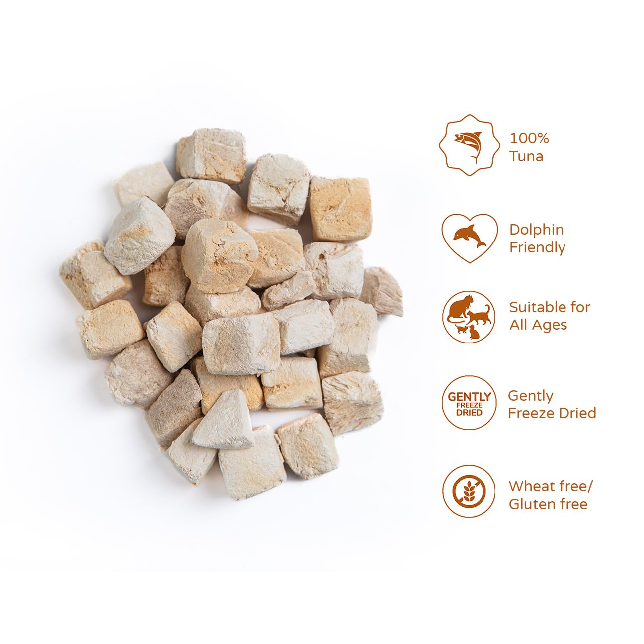 View 5