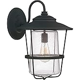 Capital Lighting 9603BK Creekside Clear Seeded Glass Outdoor Wall Sconce, 1-Light 100 Watt, 19" H x 13" W, Black