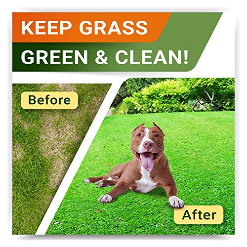 STRELLALAB Grass Saver for Dogs Dog Pee Lawn Repair Chews with Probiotics + Digestive Enzymes