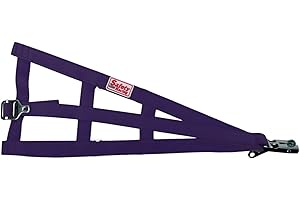 SPEEDWAY MOTORS Safety Racing Purple Sprint Car Open Wheel Cage Net-No Plastic