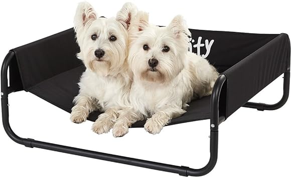 bunty elevated dog bed