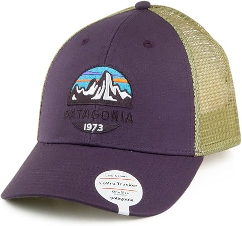 patagonia trucker hat mens