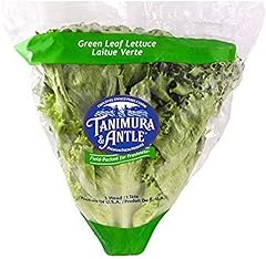 Green Leaf Lettuce, 1 Head