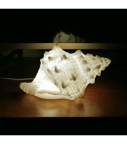 UFAIRV Conch Shell lamp,Ocean lamp,Beach Lamps,sea Shell Night