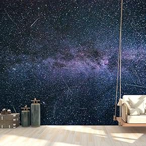 Wall Mural Starry Sky Removable Self-Adhesive Large Wallpaper - 66x96 inches