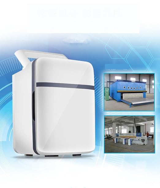 Compra SL&BX Mini refrigerador pequeño, 10l Coche Caja fría Doble ...