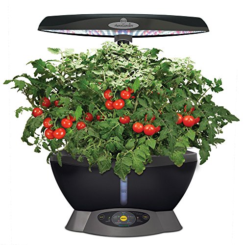AeroGarden 6 - Black (901016-1200) - Image 4
