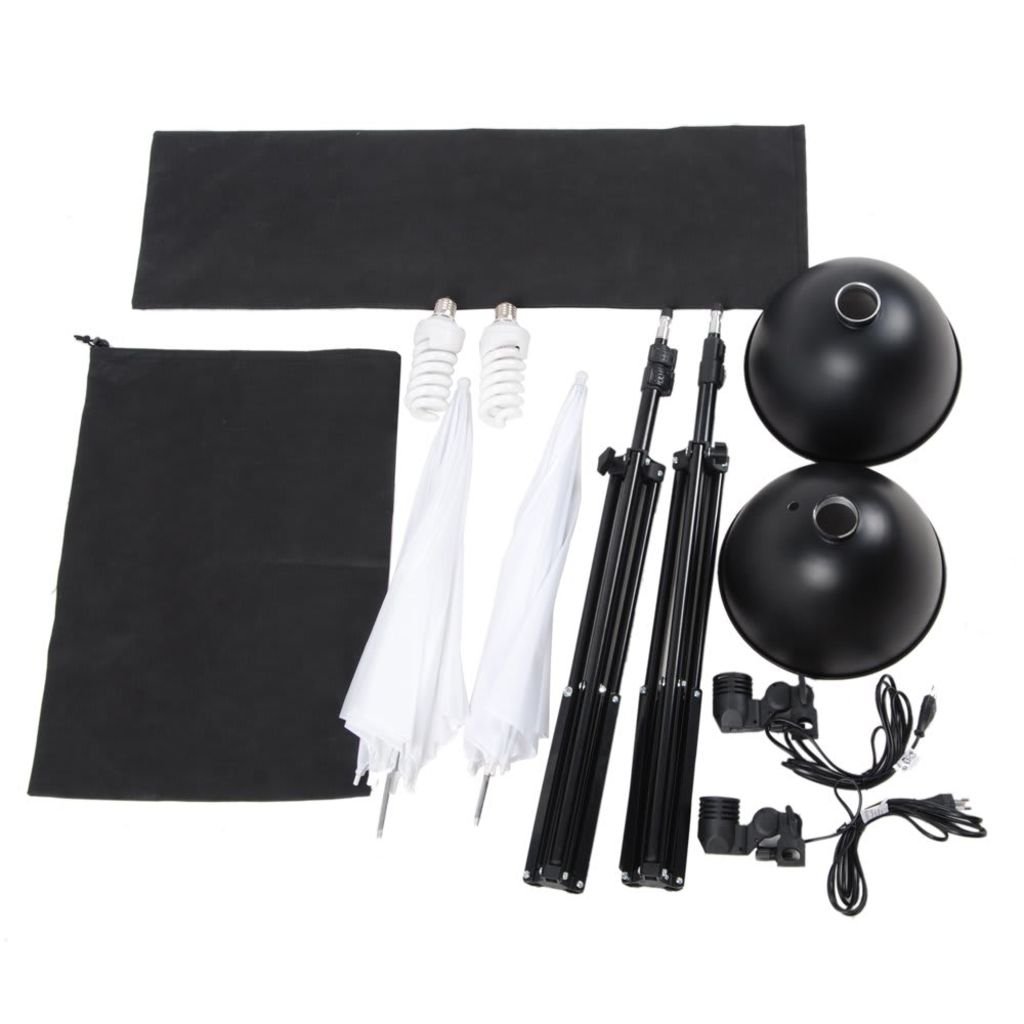 vidaXL Kit studio 2 lampes daylight & accessoires