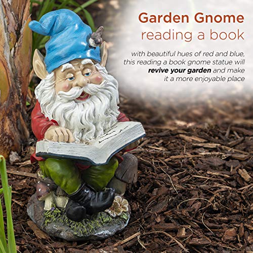 Alpine Gnome Reading a Book Statue, 14 Inch Tall Pricepulse