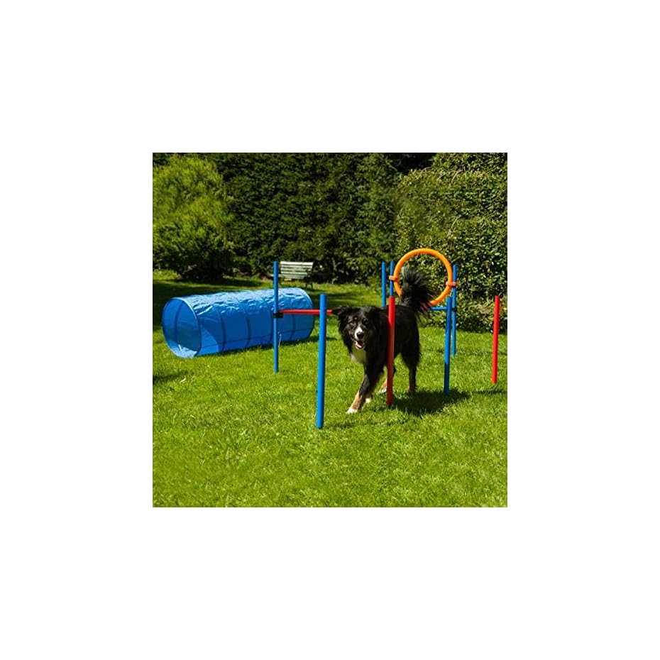 Dog Agility Set K2 KatzeHundTier Shop