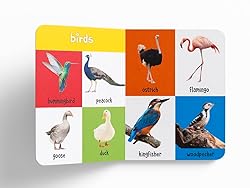 My First 100 Library: Boxset of 5 Early Learning