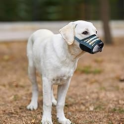 HEELE Dog Muzzle,Soft Nylon Muzzle Anti Biting