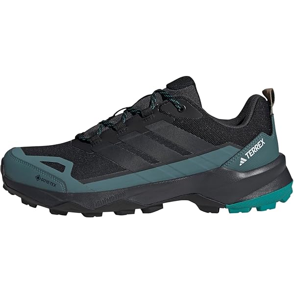 Amazon.com | Arc'teryx Aerios FL 2 Mid GTX Shoe Men's | Fast and