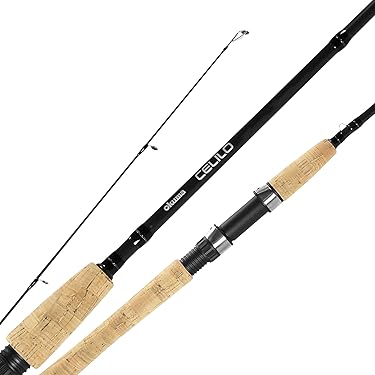 Amazon Best Sellers: Best Fishing Rods