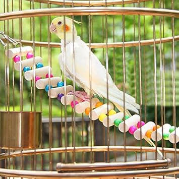Petits Oiseaux Jouets Jouet Pour Animaux Accessoires Pont
