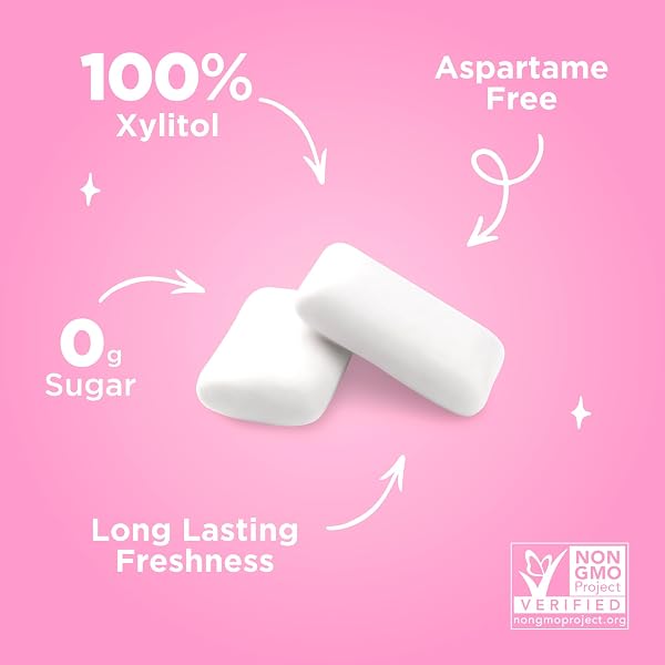 PUR GUM | ASPARTAME FREE CHEWING GUM | 100% XYLITOL | NATURAL BUBBLEGUM FLAVORED GUM, 55 PIECES (PACK OF 3)