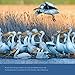 New Earth 2017 Calendar: A Year of Inspirational Quotes