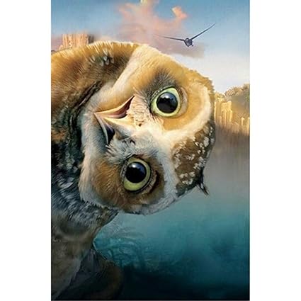 Amazon Com 5d Diy Owl Diamond Painting Kit Full Drill Diamond