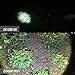 WOWTAC A3 LED Flashlight Max 600 Lumen with Zoomable Adjustable Focus, 5 Modes with Hidden Strobe, Outdoor Water Resistant Torch, Powered Tactical Flashlight for Camping Hiking (A3 CW)