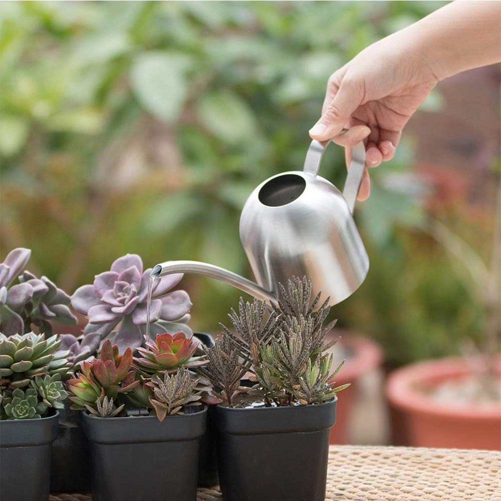 Stainless Steel Watering Can, Small Long Mouth Watering Pot for House Indoor Outdoor Garden Succulent Plants 500ML (Silver) - Image 5
