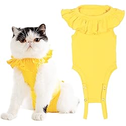 Cat Recovery Suit for Abdominal Wounds and Skin