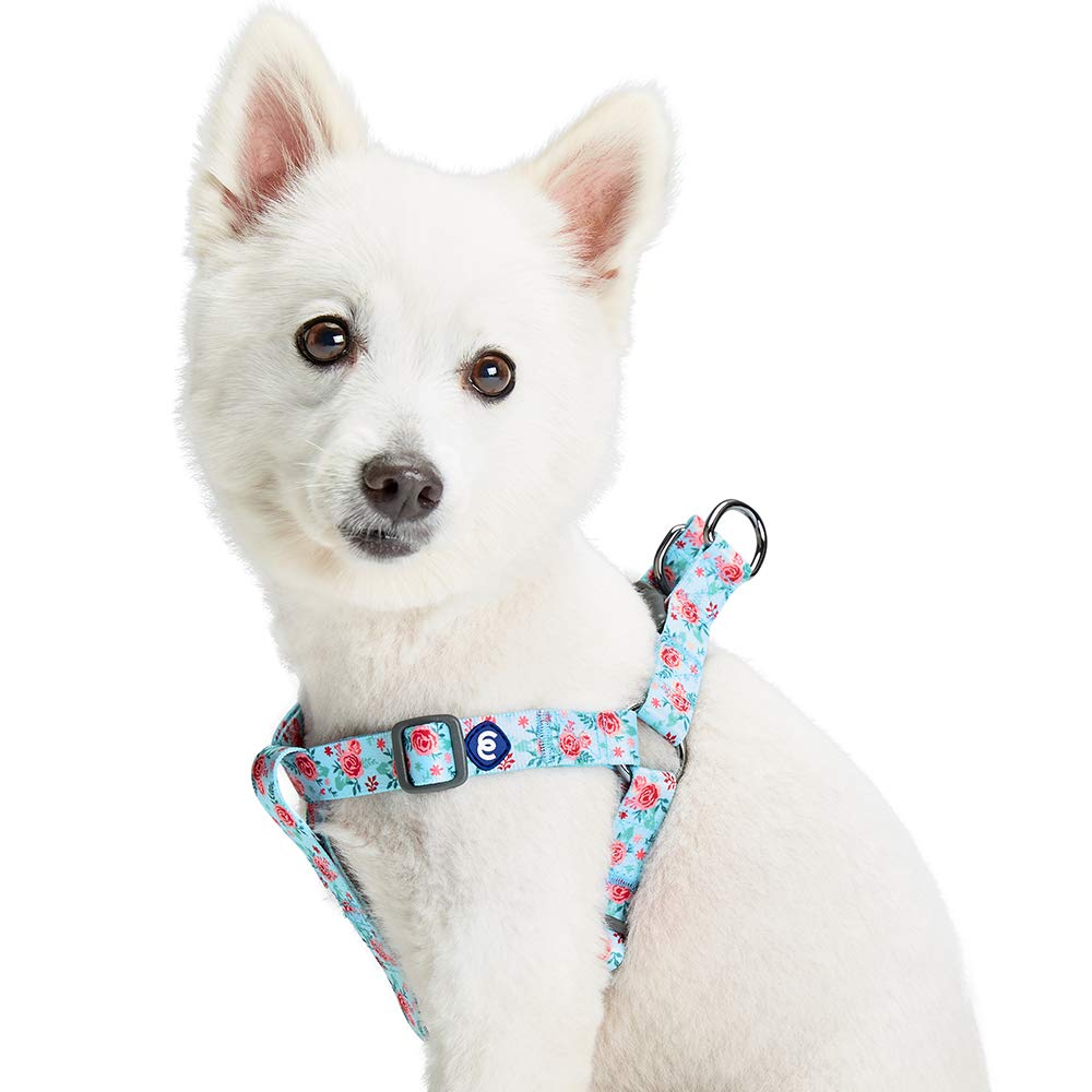 Blueberry Pet Essentials Step-in Spring Scent Inspired Garden Floral Dog Harness in Pastel Blue, Chest Girth 42cm-54cm, Small, Adjustable Harnesses for Dogs