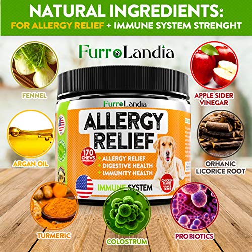 FurroLandia Dog Allergy Relief Chews Omega 3 Salmon Fish Oil