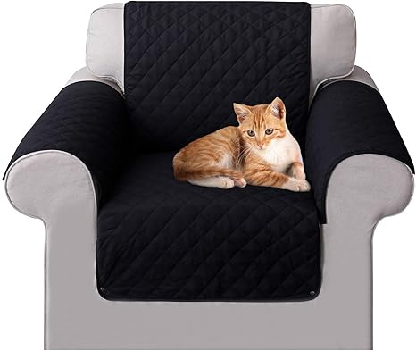 polyester couch cats