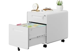 LVSTEEL 2 Drawer File Cabinet with Lock and 4 Keys, Mobile Metal Filing Cabinet, File Cabinets for Home Office, Under Desk, Pre-Assembly, File Drawer, Letter/Legal/A4 Hanging File Folders