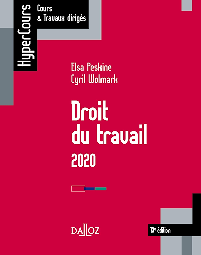 Download Droit du travail 2020 - 13e éd. (HyperCours) PDF