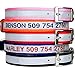 GoTags Embroidered Reflective Dog Collars with Metal Buckle, Personalized Dog Collar Custom Embroidered with Pet Name and Phone Number, Sizes for Puppy and Dogs Extra Small, to Medium and Large