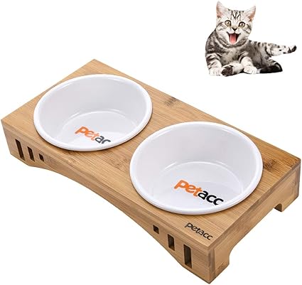 Amazon Com Petacc Raised Pet Bowls For Cats And Small Dogs