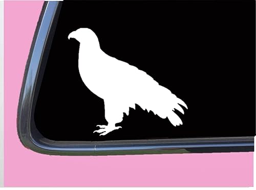 Amazoncom Falcon Plain Tp 623 Sticker 6 Decal Falconry