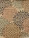 Feraghan/New City Brand New Contemporary Modern Floral Flowers Area Rug, 2' x 3', Brown/Beige