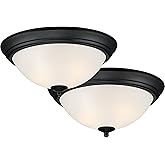 Designers Fountain Flush Mount Ceiling Light, 11 Inch Frosted Glass Lighting Fixture for Kitchen, Bedroom, Bathroom, and Hall