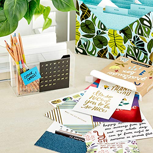 Hallmark Good Mail Thank You Cards Assortment (Box of 12 Modern