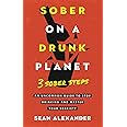 Sober On A Drunk Planet: 3 Sober Steps. An Uncommon Guide To Stop Drinking and Master Your Sobriety (Sober On A Drunk Planet: The Complete Quit Lit Sobriety Series)