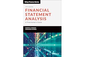 Financial Statement Analysis: A Practitioner's Guide (Wiley Finance)