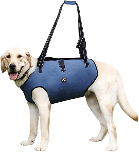Coodeo Dog Lift Harness Pet Support Rehabilitation Sling Lift Adjustable Padded Breathable Straps For Old Disabled Joint Injuries Arthritis Loss Of Stability Dogs Walk Extra Large Amazon Co Uk Pet Supplies