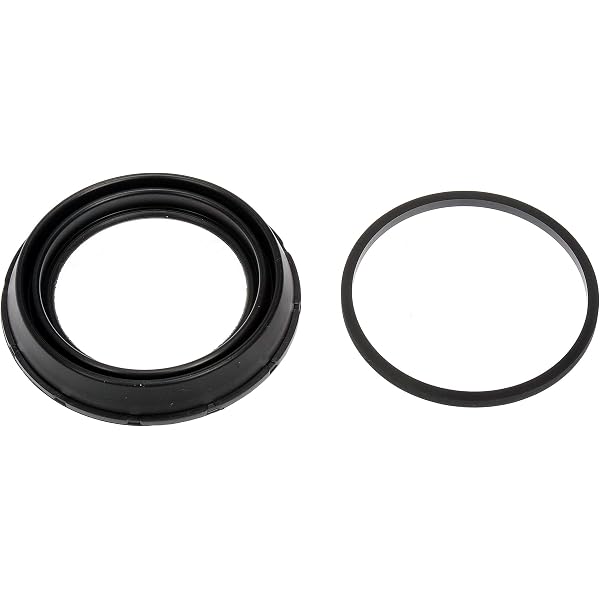 Amazon.com: Dorman D351973 Front Disc Brake Caliper Repair Kit 