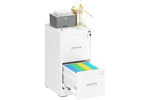 Bonusall Vertical File Cabinet 2 Drawer, Metal Lateral Filing Cabinet with Lock, Locking Organizer Filed Drawer Cabinet for Letter/Legal / A4 / F4 Size for Home Office, Sturdy Steel, White