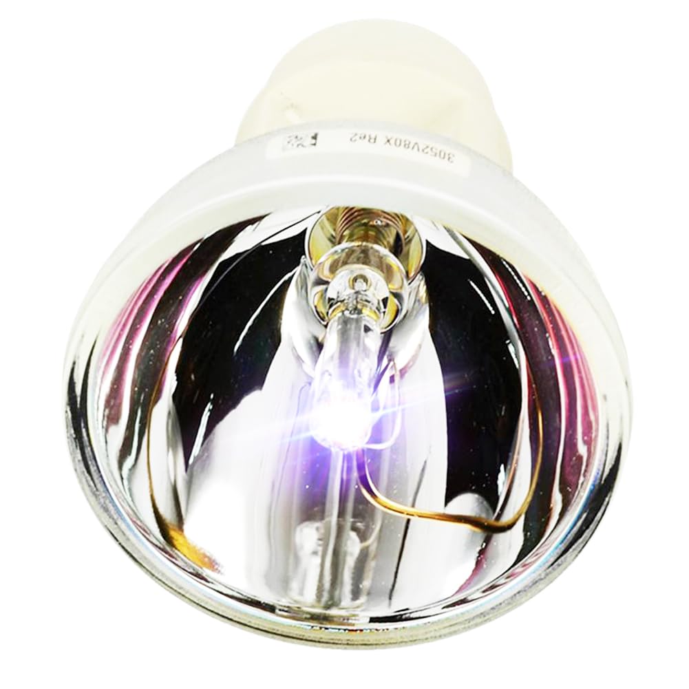 iReijomoi Replacement Lamp BL-FP230I / SP.8KZ01GC01 Bare Bulb for OPTOMA HD300X/HD33/HD3300 Projectors