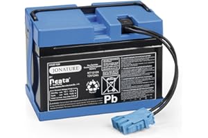JONATURE 12V Replacement Battery 12Ah for Peg Perego for John-Deere Gator XUV for Polaris for Slingshot for Polaris RZR 900 for Gaucho Rock'in Children Ride On Car