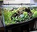 KZKR LED Aquarium Hood Lighting Fish Tank Light Blue and White Light 12-18 inch