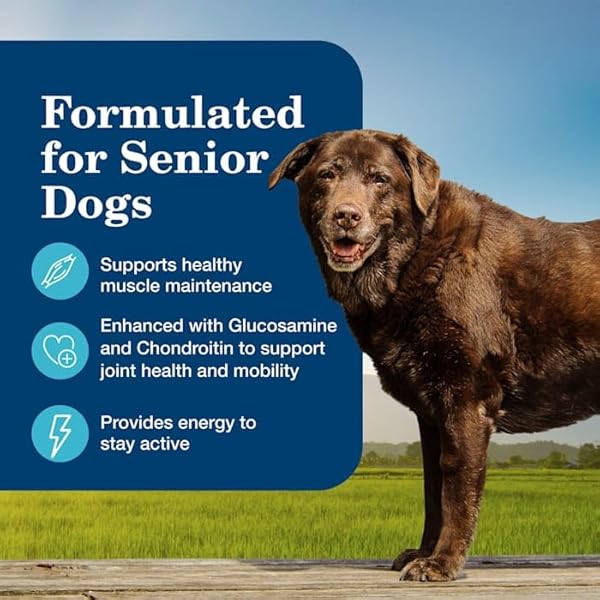BLUE BUFFALO HOMESTYLE RECIPE BEEF DINNER AND CHICKEN DINNER SENIOR WET DOG FOOD VARIETY PACK 12.5 OZ. COUNT OF 6