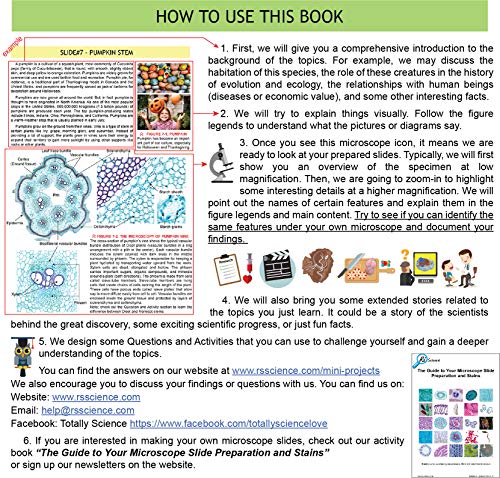 Rs' Science - 25 Microscope Prepared Slide Set for You to Learn The Beauty of Biology (2019 Version) with Printed Guide Book - Thumbnail 3