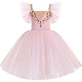 Girl Ballet Leotard Swan Lake Dance Dress Ruffle Sleeve Ballerina Maxi Tulle Tutu Teen Halloween Ballet Dance Outfits
